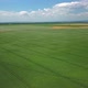 Irrigation System on Green Fields of Farm, Aerial View - VideoHive Item for Sale