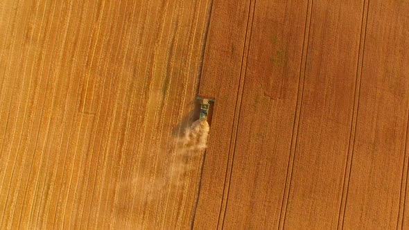 Field with Combine, Aerial View.