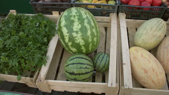 Vegetables on the Market Counter.