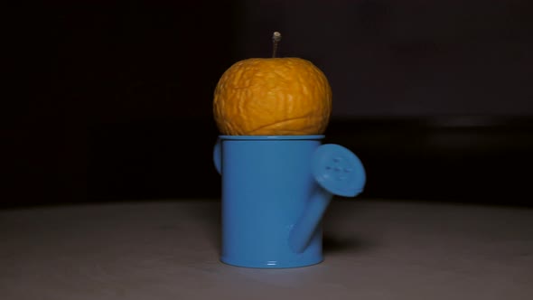 The Camera Pans Around an Old and Limp Apple Lying in a Blue Watering Can on a Wooden Table