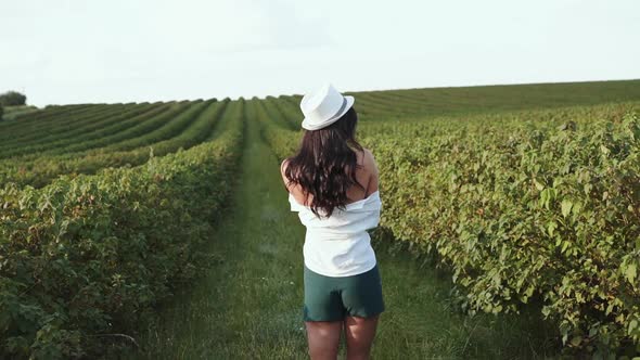 Girl Walks with Crossed Hands Among Sunny Bush Plantation and Smiles to Camera