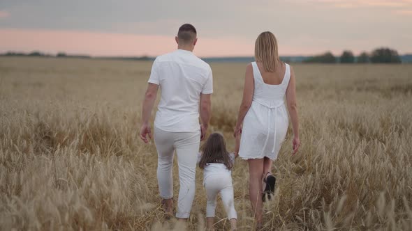 Young Couple of Parents with Girl Children Holding Hands of Each Other and Running Through Wheat