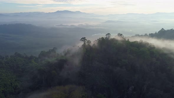 Drone view flying over sea of mist or fog Landscape High angle view