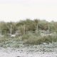 Couple Walking on A Beach - VideoHive Item for Sale