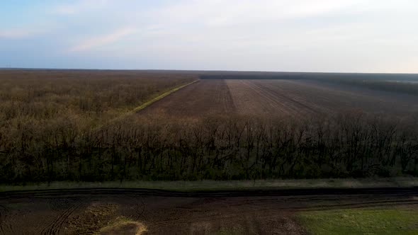 Drone flies over a field in the forest