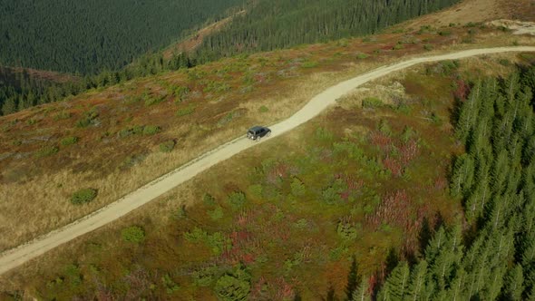 Mountain Car Roadtrip Aerial View Small Curvy Road Among Trees Sunny Day