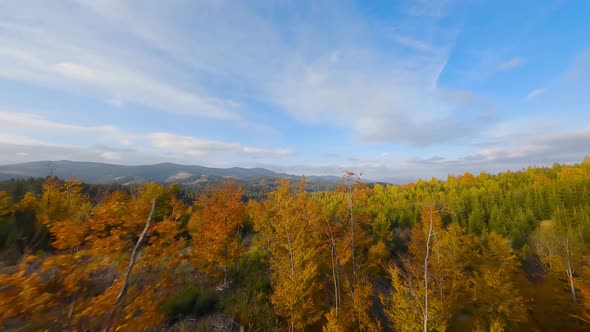Aerial View of a Bright Autumn Forest on the Slopes of the Mountains at Sunrise