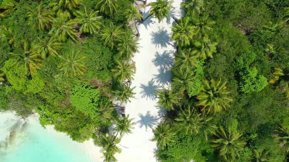 Aerial drone sky of idyllic coast beach trip by clear ocean with white sand background of a picnic n