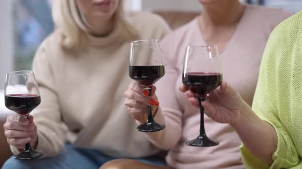 Three Unrecognizable Caucasian Adult Women Clinking Wine Glasses Toasting Meeting on Weekend at Home