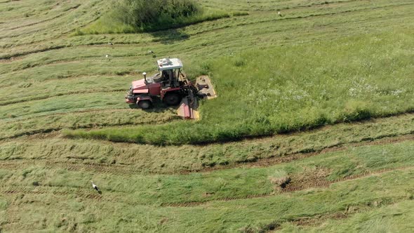 Seasonal Harvesting of Silage for Livestock Feed on a Green Summer Meadow with a Modern Tractor