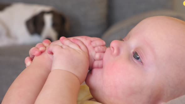 Funny Baby Sucking Her Finger On Leg