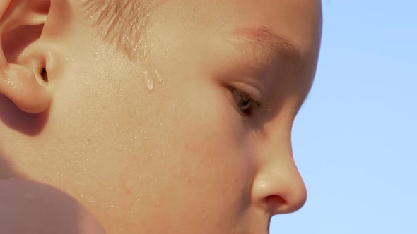 Portrait of boy in the light of warm sun against blue sky