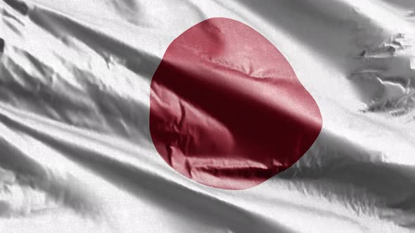Japan textile flag waving on the wind. 10 seconds loop.
