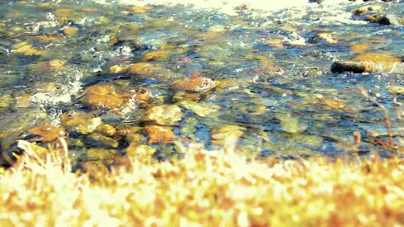 Dolly Slider Shot of the Splashing Water in a Mountain River Near Forest. Wet Rocks and Sun Rays