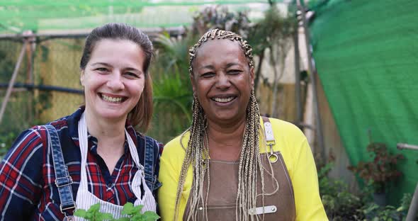 Multiracial senior women working inside greenhouse garden