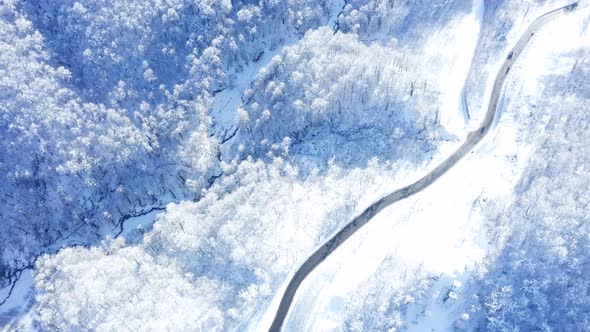 Aerial Drone View Of Highway And  Trees With Snow  In The Forest In Winter  