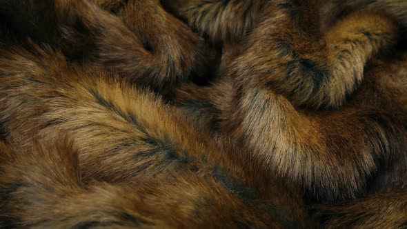 Fur Coat Detail Moving Shot