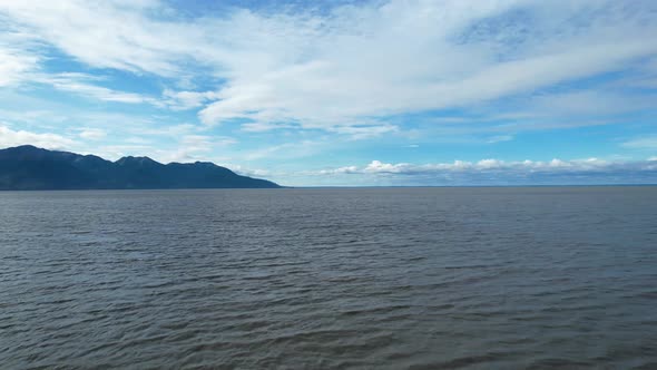 Flying over ocean at Turnagain arm Alaska with Beluga Whale