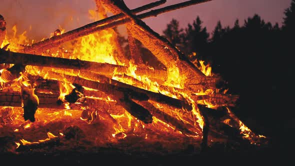 Big Bonfire of the Logs Burns at Night in the Forest. Slow Motion in 180 Fps