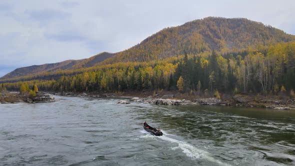 A Motor Boat Sails Up the River Against the Backdrop of Huge Mountains and Autumn Coniferous Forest