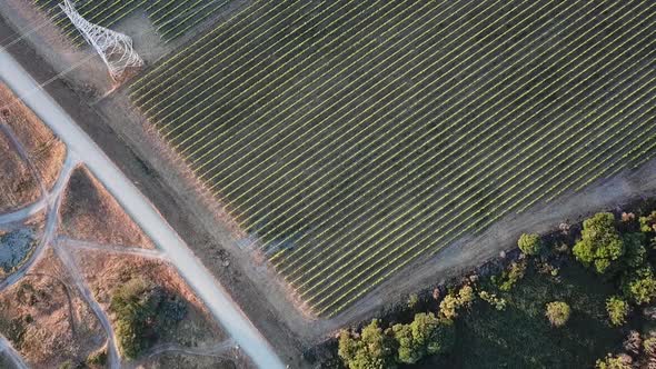 AERIAL RISING PLAN VIEW WIDE- a vineyard between lands of other use