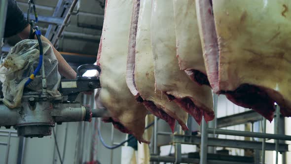 Butcher Cuts Pig Carcass at Slaughterhouse