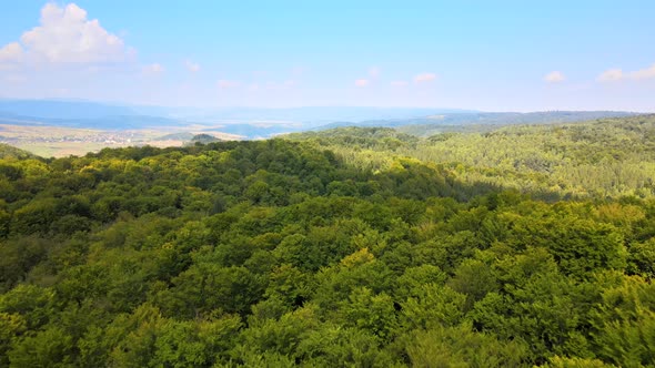 Aerial View of Mountain Hills Covered with Dense Green Lush Woods on Bright Summer Day