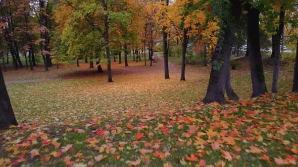 The Beauty of an Autumn Park in St