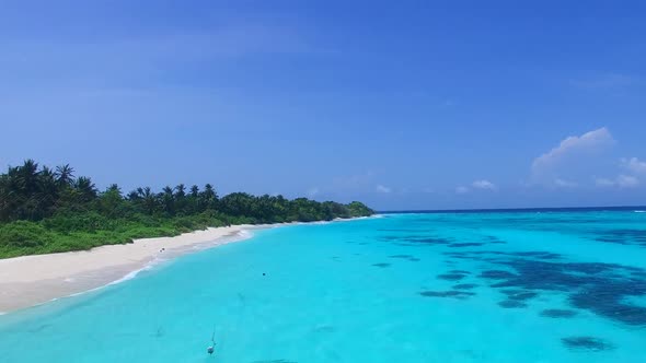 Aerial drone nature of coastline beach wildlife by water with sand background