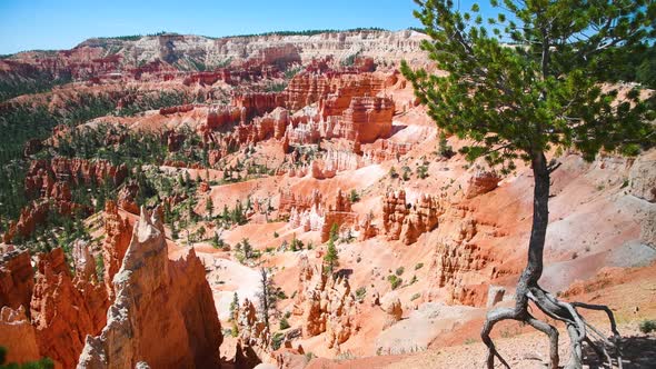 Amazing Rock Formations of Bryce Canyon National Park