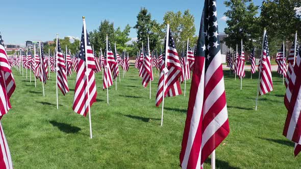 Flying down row of American Flags in park