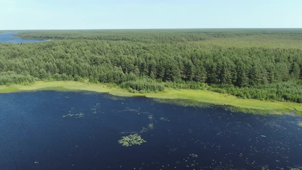 Flight Over the Taiga Forest Lake