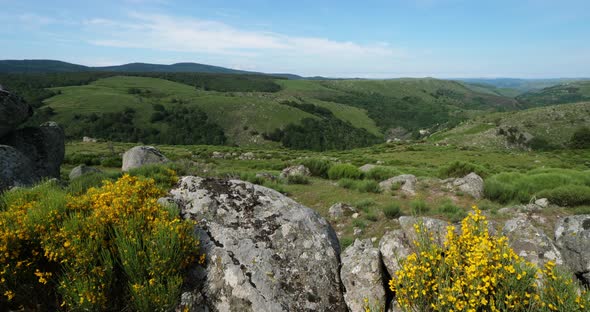 The national park of Cevennes,Pont de Monvert, Mont Lozere, France