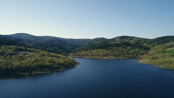 Lake view surrounded by lush forests