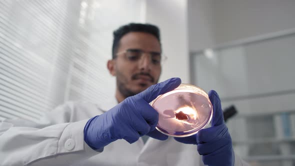 Scientist Looking At Sample Of Cultured Meat