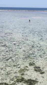 Tanzania  Vertical Video of a Coastal Landscape in Zanzibar Slow Motion