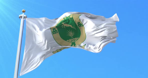 Flag of Yucatan, Mexico