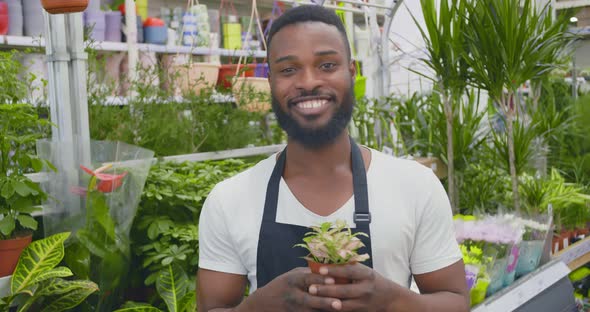 Portrait of Young African Man Owner of Garden Center or Flower Shop with Small Pot Plant