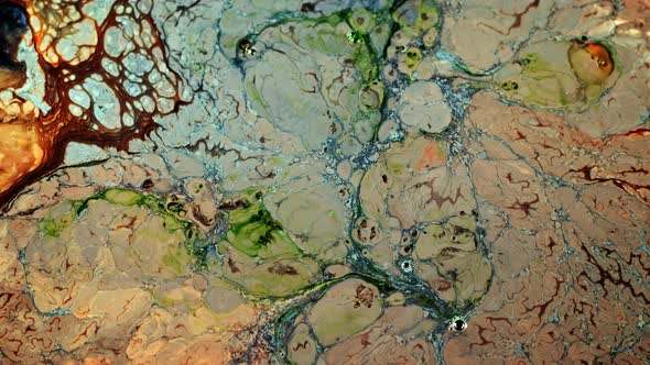 Abstract Colorful Paint Ink Liquid Explode 18 alt