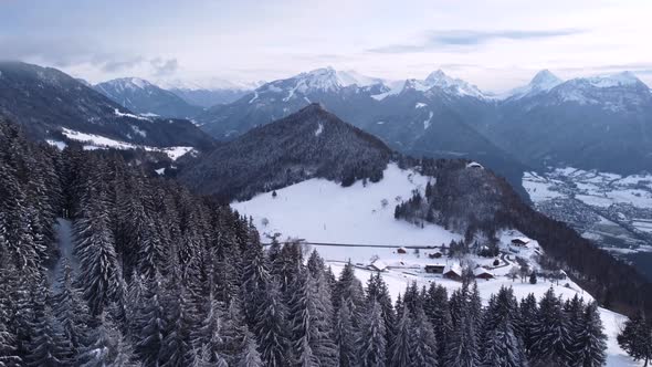 Flying Through Trees Tops Paradise Heaven of a Wonderful Landscape in the Alps