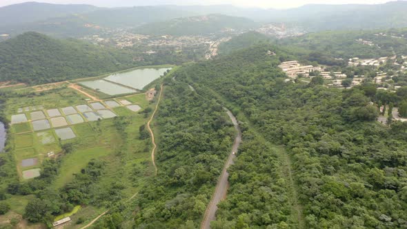 Road into town with ponds alongside