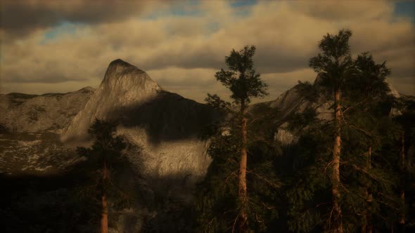 Cliff with Trees and Light of the Sun alt