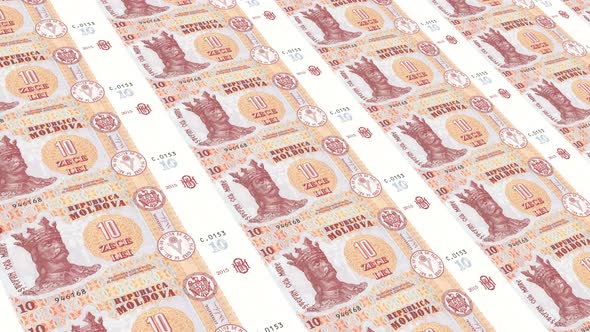 Moldova  Money / 10 Moldovan Leu 4K