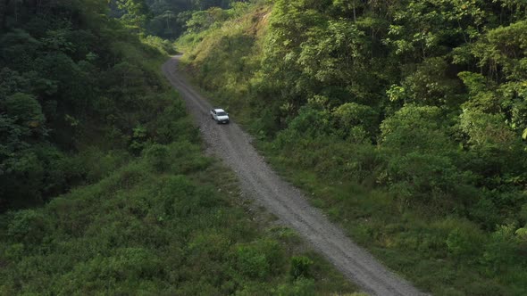 Following a white car that is going down a bad dirt road in the rainforest