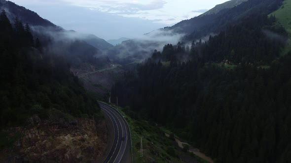 Foggy Road