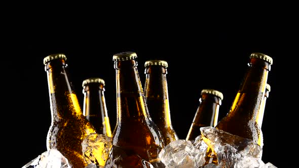 Bottles of Dark Cold Beer in the Ice. Black Background. Silhouette