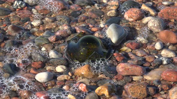 Broken Glass On The Beach