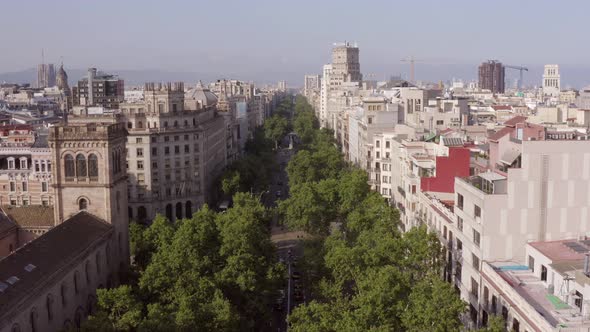 Grand Via in Barcelona a Treelined Street in the Bustling Gothic City