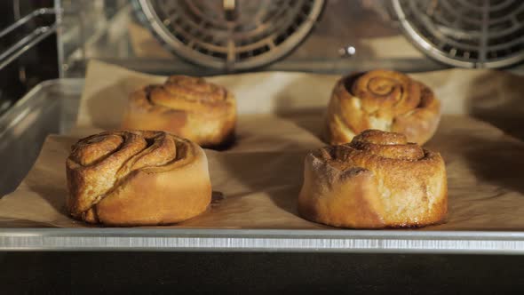 Cinnamon Rolls are Baking in the Oven on a Baking Paper