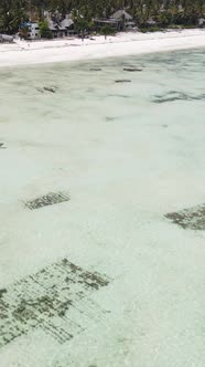 Vertical Video of Low Tide in the Ocean Near the Coast of Zanzibar Tanzania